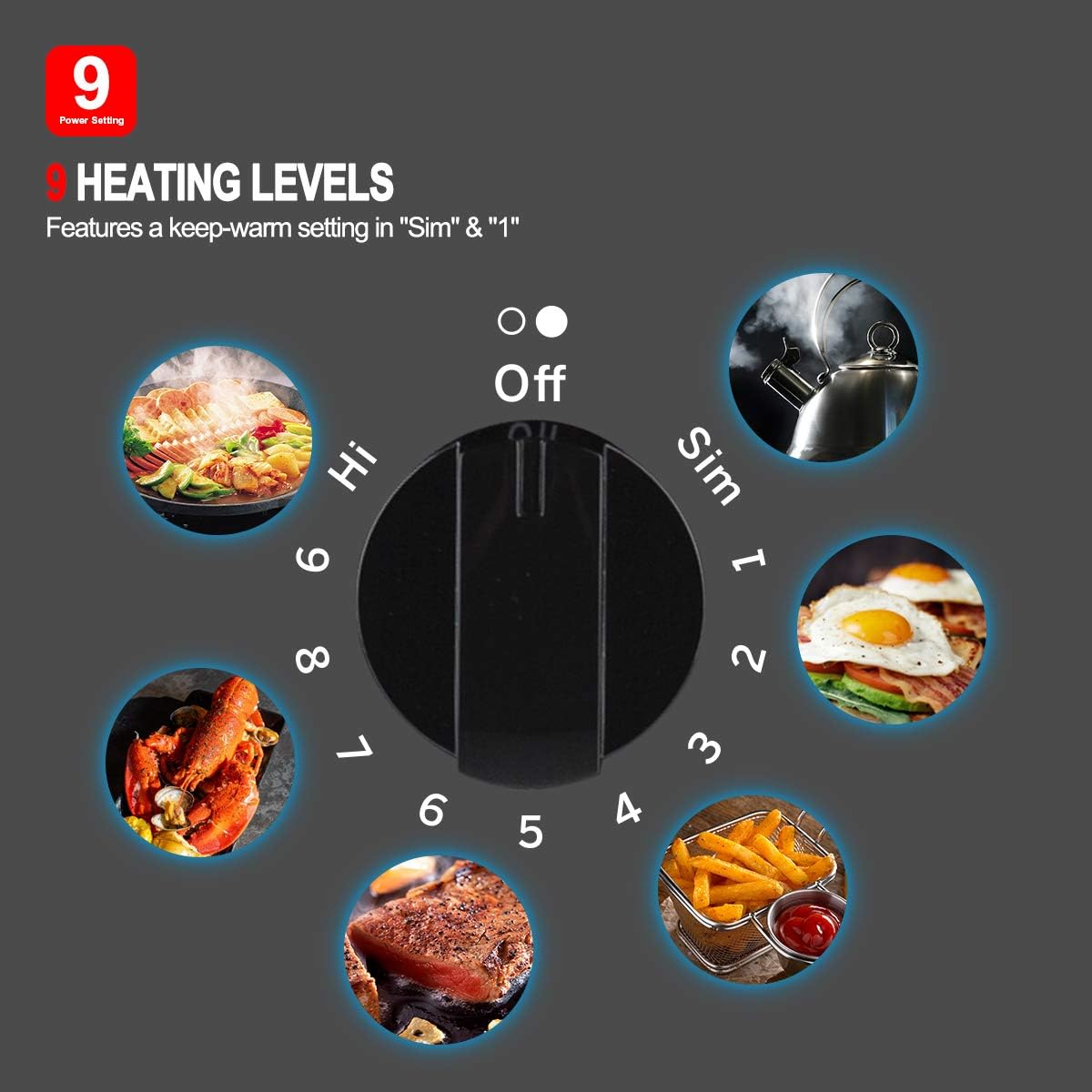21" Electric Cooktop, GASLAND Chef Professional 21 inch Drop in Radiant Electric Cooktop, 240V Ceramic Electric Stove 2 Burners, 9 Heating Levels, Knobs Control, Instant Heating Up, UL Approved: Appliances