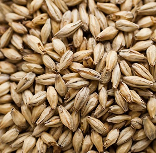 Dingemans Biscuit Malt - 5 LB, Crushed