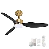 Hoenofly 48 Inch Smart Ceiling Fans with LED Lights