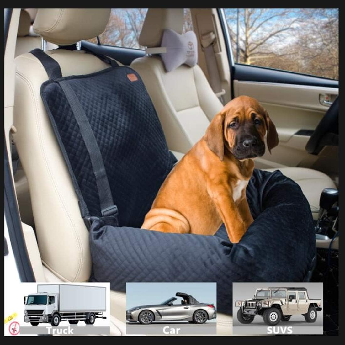 BOCHAO Dog car seat is Specially Designed for The Safety of Dogs Sitting in The car. The pet Booster seat Made of Short Plush Soft Material is and Safe, Detachable and Easy to Clean. : Pet Supplies