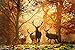Mobicus Blxecky 5D DIY Diamond Painting ,By Number Kits Crafts & Sewing Cross Stitch，Wall stickers for living room decoration,deer(12X18inch/30X45CM)