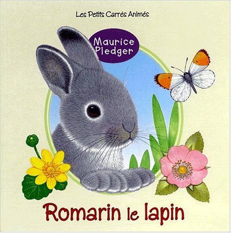 Romarin, le lapin