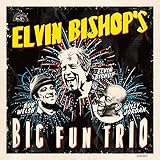Elvin Bishop - Big Fun Trio
