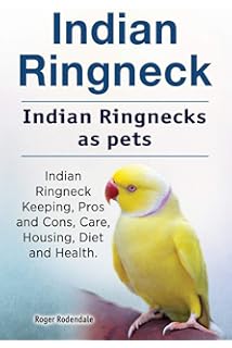 indian ringneck parrot talking training