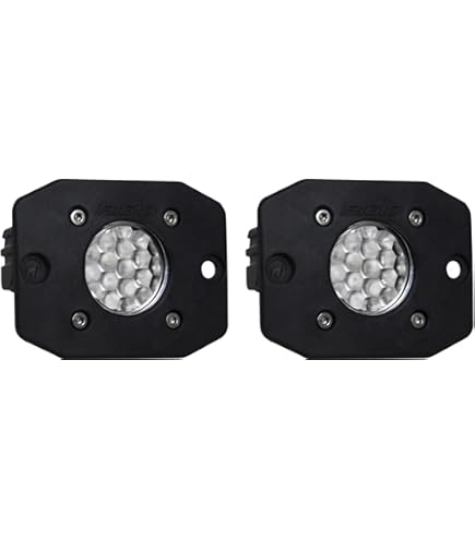 Amazon.com: RIGID 212513BLK D-SERIES PRO SPOT DIFFUSED MIDNIGHT