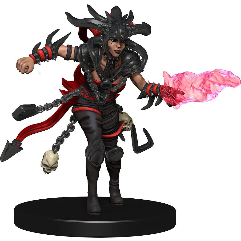 WizKids D&D Icons of The Realms: Set of 10 Companion Starter Two - EN