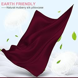 Mulberry Silk Pillow Cases 2 Pack Queen Size 20x30
