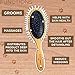 Paws Pamper Boar Bristle & Pin Brush for Dogs and Cats - Beechwood Handle (Cappuccino White)