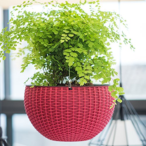 Growers Hanging Basket, Indoor Outdoor Hanging Planter Basket , 10.4 in