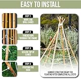 TradeXone Heavy Duty Bamboo Canes 2ft-8ft for Plant Support view 5