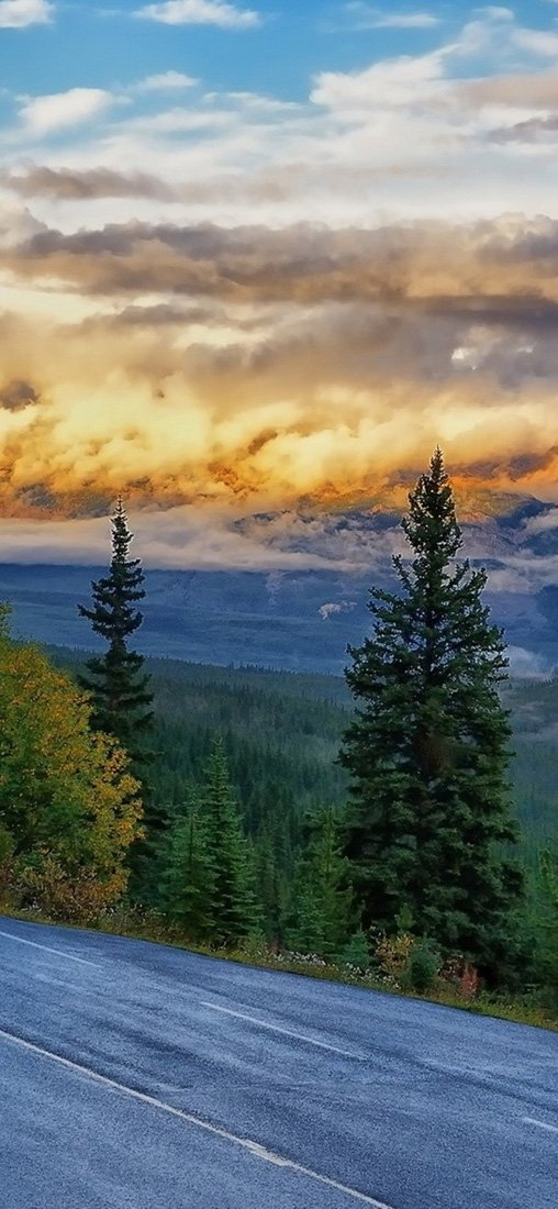 PeelitStickit, Beautiful Nature Wall Murals, ID-115, vinyl