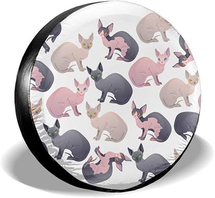 sphynx cat wheel