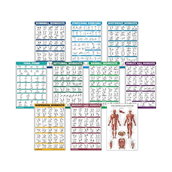 10 Pack - Exercise Workout Poster Set - Dumbbell, Suspension, Kettlebell, Resistance Bands, Stretching, Bodyweight, Barbell, Yoga Poses, Exercise Ball, Muscular System Chart (LAMINATED,18" x 24")