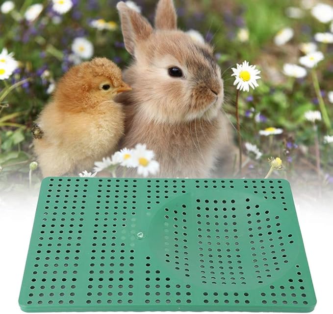 𝐂𝐡𝐫𝐢𝐬𝐭𝐦𝐚𝐬 𝐆𝐢𝐟𝐭 Anti Corrosion Convenient Rabbit Cage Pad