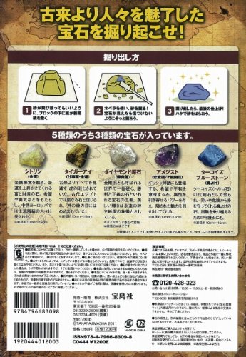 自分で掘り出せザックザク 宝石発掘キット バラエティ 本 通販 Amazon
