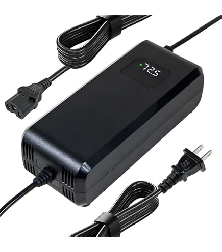 Amazon.com: YZPOWER 67.2V 3Amps Lithium Battery Charger for 60v