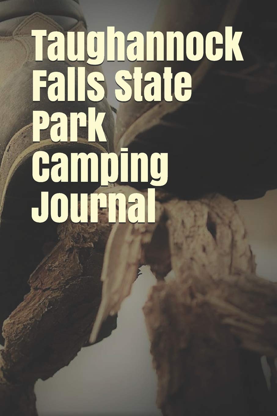 Taughannock Falls State Park Camping Journal Blank Lined Journal