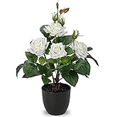 Hollyone Artificial Plants & Flowers with Vase White Roses Artificial Flowers Potted Plant Faux Silk Flower with Black Pot Fake Rose Flower Arrangement Home Decor Table Desk Decorations 15 Inch