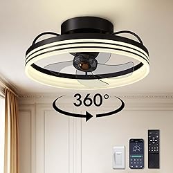 LUDOMIDE Ceiling Fans with Lights, 360° Rotating