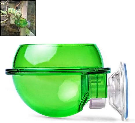 Amazon Com Suction Cup Reptile Feeder Anti Escape Reptile Food