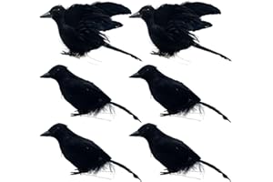 LWINGFLYER 6pcs Black Crows Halloween Decorations Feathered Crows Handmade Halloween Prop Bird Realistic Looking Ravens (Fly & Stand Crows)