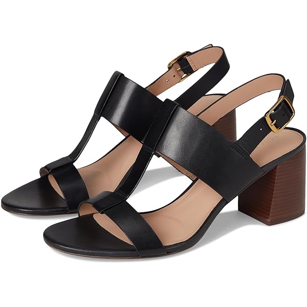 Amazon.com | Cole Haan Women's Fenley Sandal Flat, Black, 8