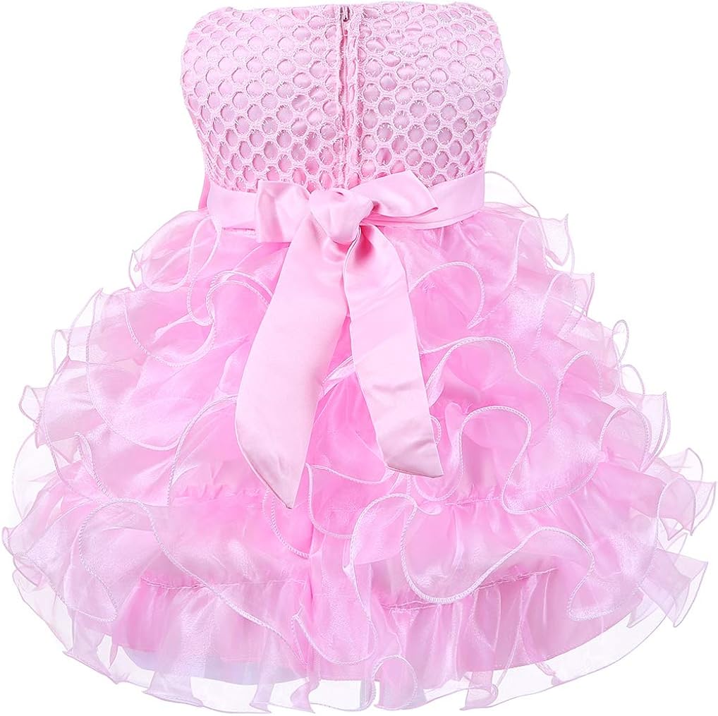 Baby Girl Dresses Ruffle Lace Pageant Party Wedding Flower Girl Dress: Clothing