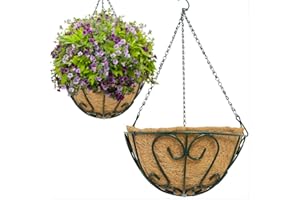 THIKDIKAKT Metal Hanging Planter Basket with Coco Liner Chain for Outdoor Garden Decoration Porch Decor 2 Pack (12in Heart Shape Green)