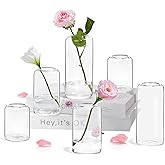 ZENS Bud Vases Set of 6, Modern Small Glasss Vase for Flower Clear Bud Vases in Bulk for Wedding Centerpiece, Blown Thicker Glass Small Vase for Flowers, Wedding Party Decorative, Home Bathroom Decor