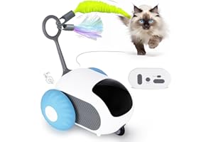 Remote-Controlled & Automatic Cat Toy – Smart Cat Toys for Indoor Cats and Kittens | USB Rechargeable, Two-Speed Interactive 