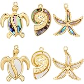Beebeecraft 1 Box 6Pcs Shell Charms 18K Gold Plated 304 Stainless Steel Natural Conch Sea Turtle Starfish Pendant Charms for Summer Jewelry Necklace Earrings Bracelet Making Craft