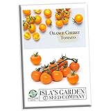 Orange Cherry Tomato Seeds for