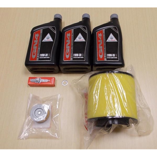 Total 67+ imagen honda rancher 420 oil In.thptnganamst.edu.vn