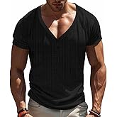 TAFLE Mens Casual Deep V-Neck T-Shirts Henley Shirt Dry Fit Short Sleeve Mens Casual Waffle Textural Summer T-Shirt