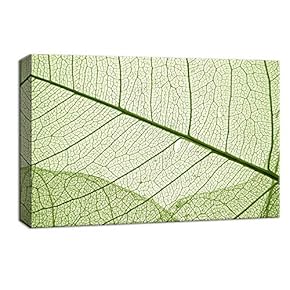 Canvas Wall Art for Living Room,Bedroom Home Artwork Paintings Leaf Ready to Hang - 12x18 inches
