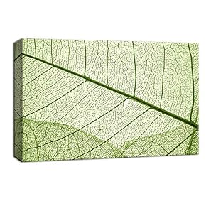 for Living Room Bedroom Home Artwork Paintings Leaf