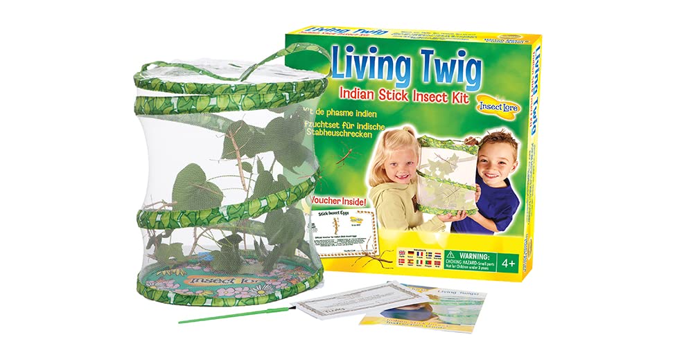 Living Twig Stick Insect Kit
