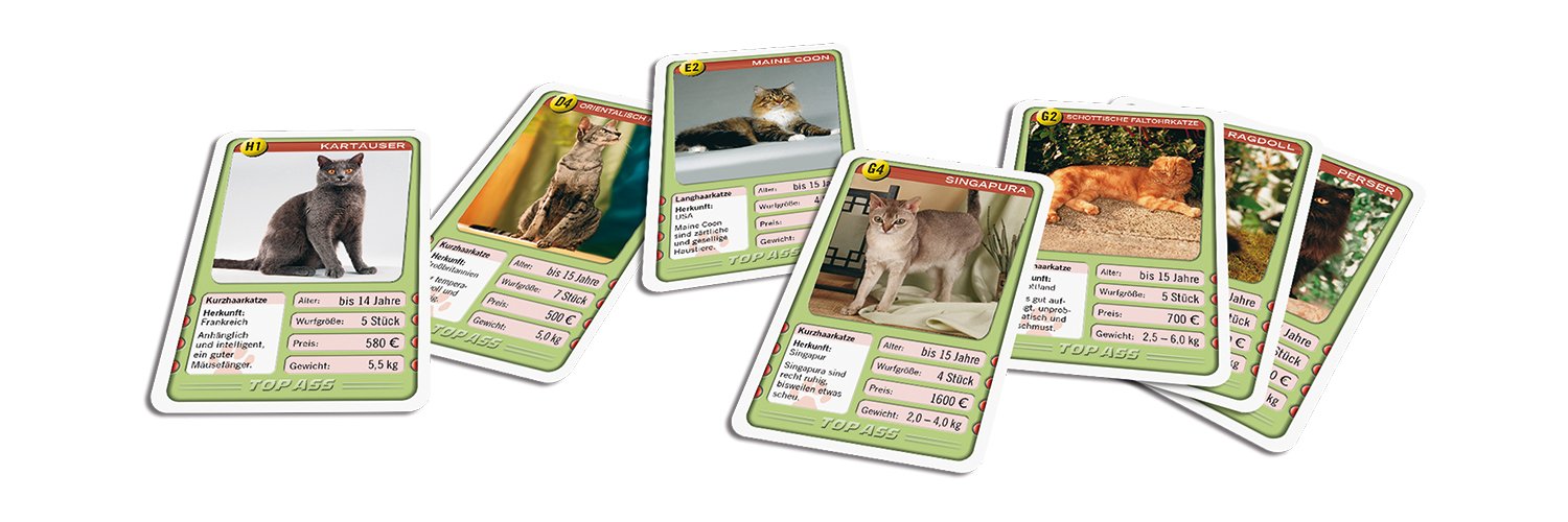 ASS Altenburger 22571993 TOP ASS, Cats Katzen 3
