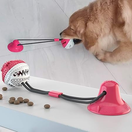 dog suction ball