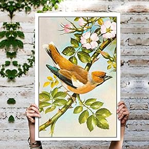 signwin Canvas Wall Art Birds on The Branch...
