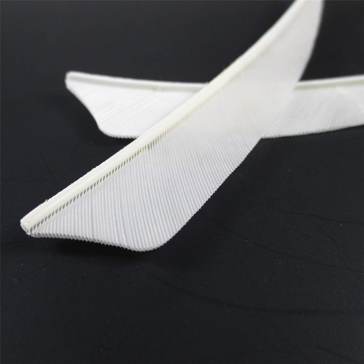Letszhu Archery Arrows Feather Fletching 4 Inch Real Turkey Vanes for Hunting Target Shooting (25 Pack) (White) : Sports & Outdoors