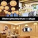 CRLight 6W Edison LED Globe Bulb 2700K Warm White, 70W Equivalent 700 LM Dimmable, E26 Vintage Edison G16 Globe Clear Glass Ceiling Fan Bathroom LED Light Bulbs, 6 Pack