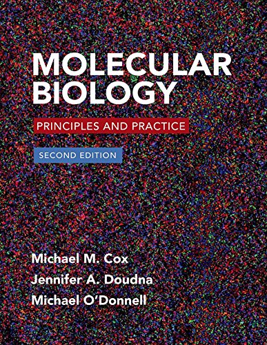 Molecular Biology:Prin.+Prac.