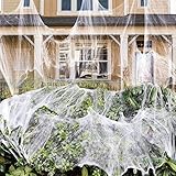 1000 sqft Stretch Spider Web for Indoor and Outdoor