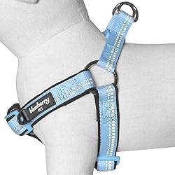 Blueberry Pet Soft & Comfy 3M Reflective Step-in