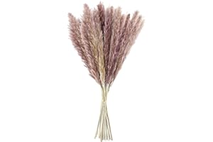 Natural Dried Pampas Grass Reed Bunch Boho Plant Dried Flowers Decor Home Decoration Bunch Arrangement Flower Vase Wedding Ho