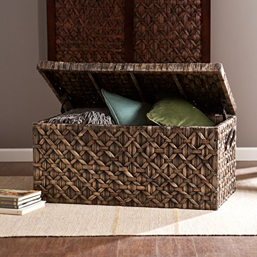 Southern Enterprises AMZ6210KC Storage Trunk, Blackwashed