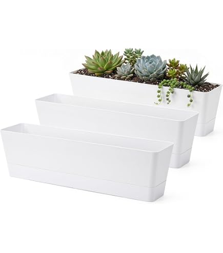 Amazon.com : ORFOFE Self Watering Planter Easyplant Pot Water Window Abs  Material Safe for Plants : Patio, Lawn & Garden