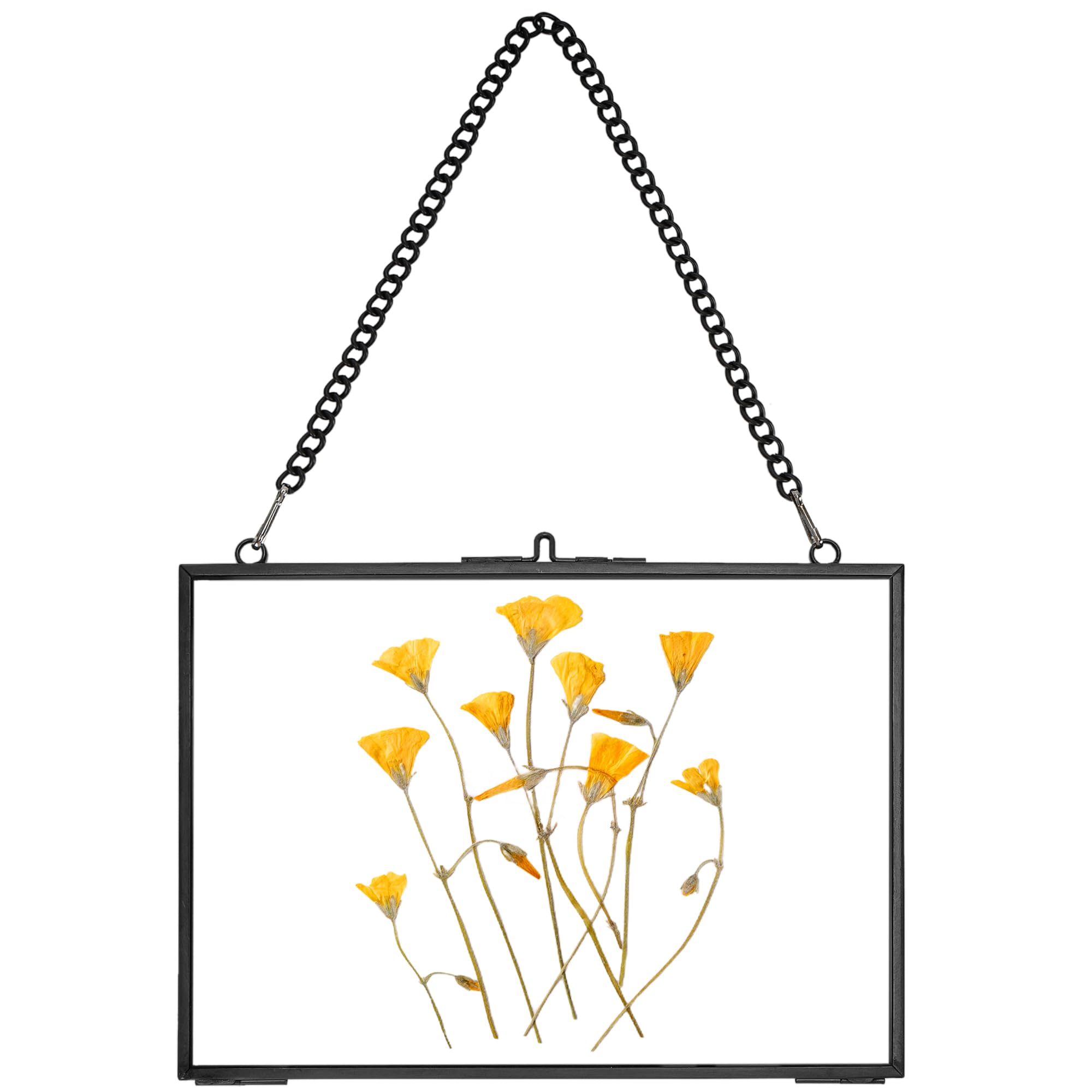 REDHUGO Hanging Pressed Flower Frame Handmade, Double Glass Picture Frame Floater frame Floating Frame for Pressed Flowers Home Wall Artwork, Rectangle Horizontal 5×7 inches, Black
