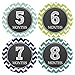 Monthly Baby Stickers Baby Boy Month 1-12 Milestone Age- Onesie Sticker
